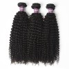3 Bundles of Virgin Brazilian Kinky Curly Hair with Closure