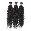 3 Bundles of Brazilian Water Wave Hair with Closure