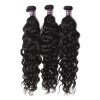 3 Bundles of Brazilian Natural Wave Hair with Closure