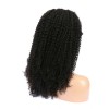 Peruvian Virgin Hair 360 Kinky Curly Wigs