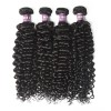 4 Bundles of Virgin Indian Deep Curly Hair with Lace Closure