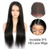 5*5 HD Lace Closure Wigs Virgin Straight Hair