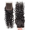 Middle Part Malaysian Water Wave Lace Closure