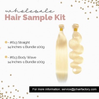 #613 Blonde Remy Hair Sample Pack - 2 Patterns