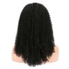 Peruvian Virgin Hair Kinky Curly Lace Front Wigs