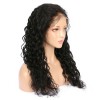 Brazilian Virgin Hair Water Wave Lace Front Wigs