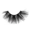 25MM Mink Lashes - Can't Be Tamed